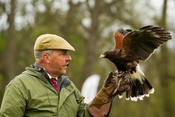 James McKay with a Harris Hawk